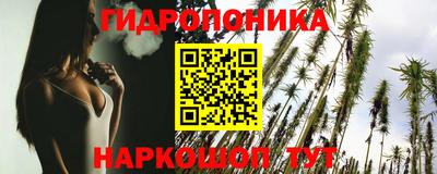 кокс Гай