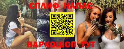 кокс Гай