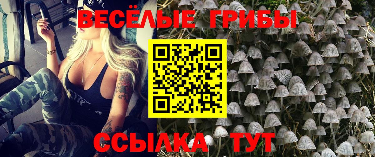 Псилоцибиновые грибы мицелий  Вход с VPN  Галлюциногенные грибы мухоморы  купить наркоту  Набережные Челны 